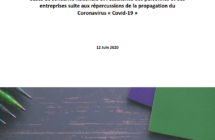 Décret-loi du Chef du Gouvernement n° 2020-30 du 10 juin 2020, portant des mesures de soutien des bases de solidarité nationale et l’assistance des personnes et des entreprises suite aux répercussions de la propagation du Coronavirus « Covid-19 ».